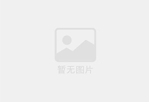 特氟龙微波垫片